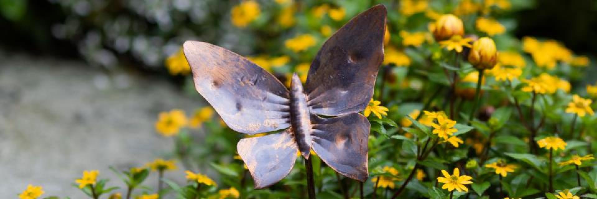 Symbolbild Schmetterling
