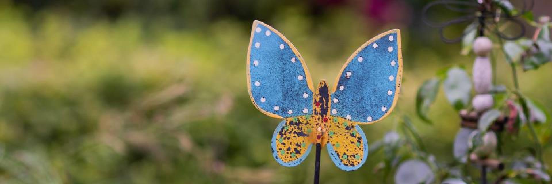 Symbolbild Schmetterling